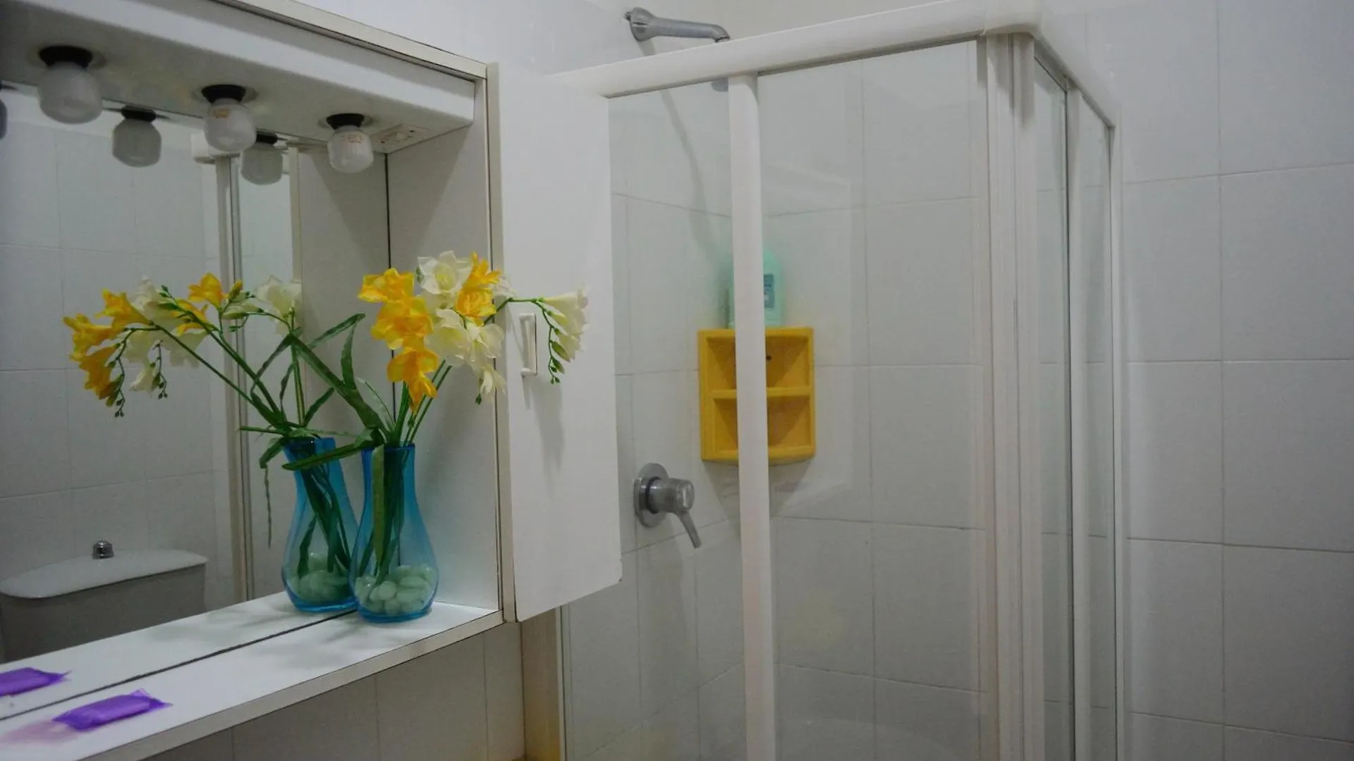 Aparthotel Residenza Alberghiera Italia Luni